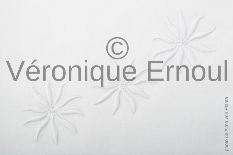 Mes premières fleurs en plumetis et œillets