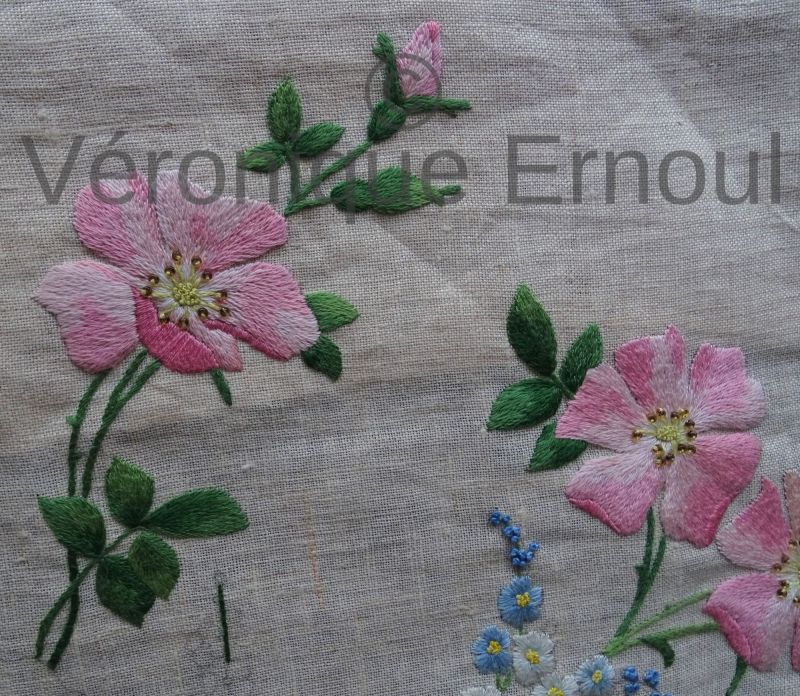 Branche d’églantine