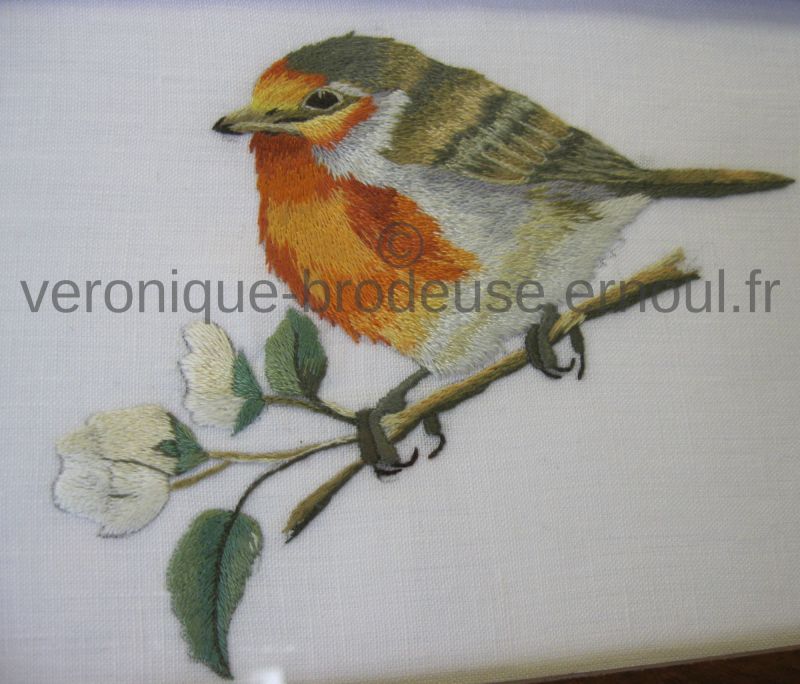 Rouge-gorge de Françoise M.