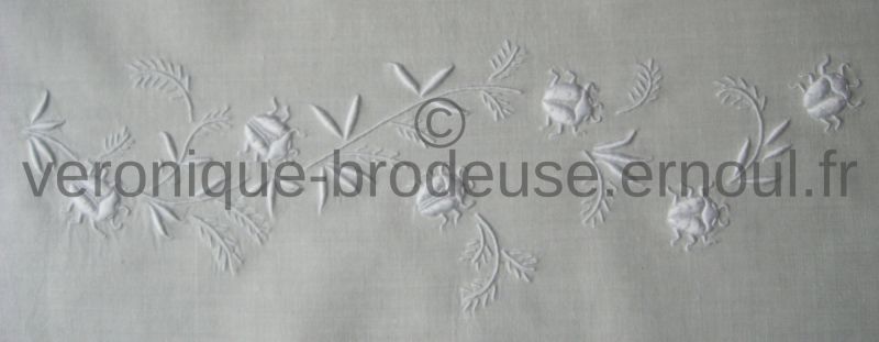 Coccinelles sur une branche