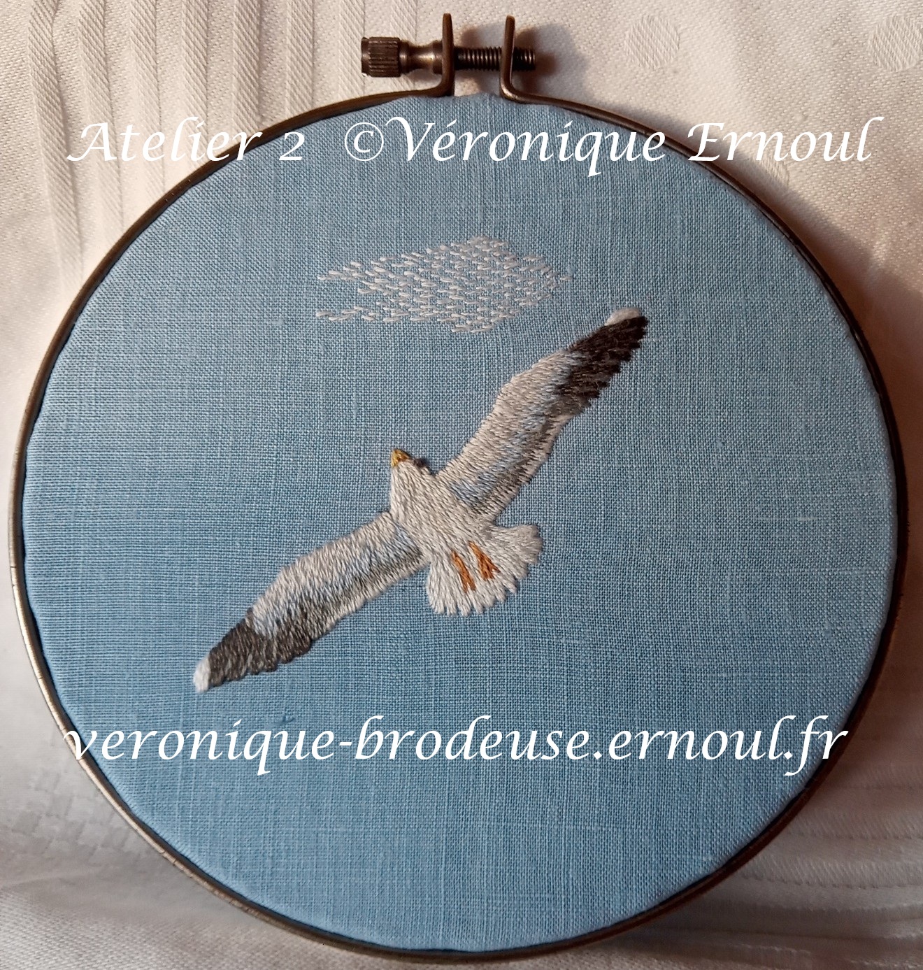 Illustration du cours Oiseau dans le ciel en broderie couleur